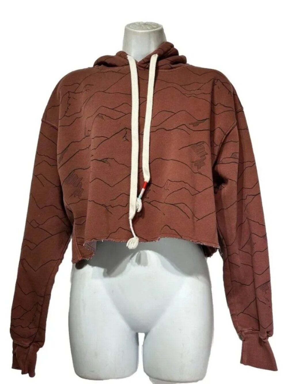 Wildfox Women's Brown Magnitude Harley Cropped Crop Mountain Print Hoodie, L
